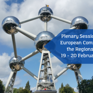 Committee of the Regions Plenary - February 2025